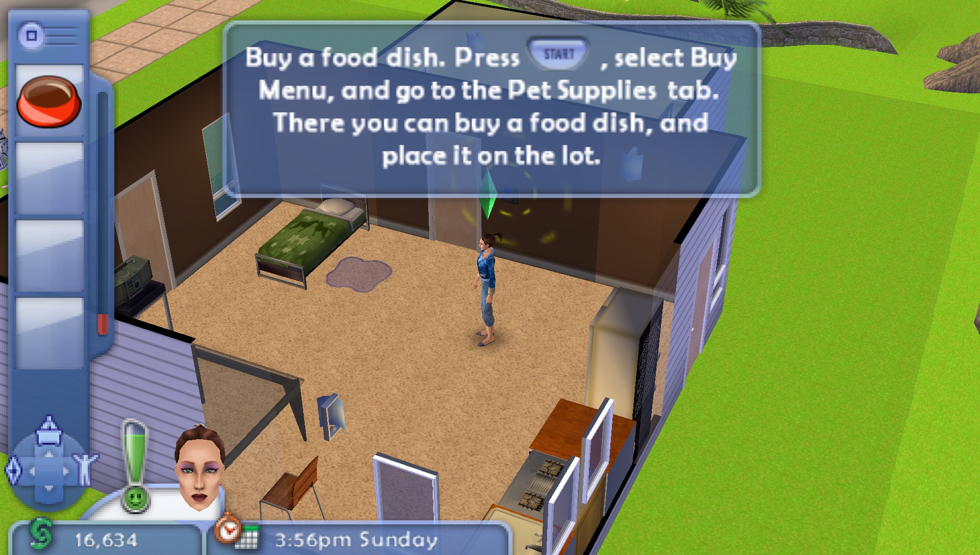 User screenshot of game