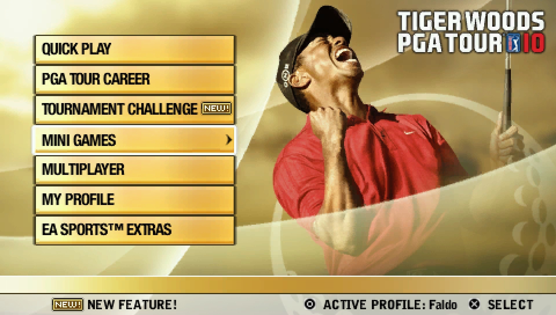 User screenshot of game