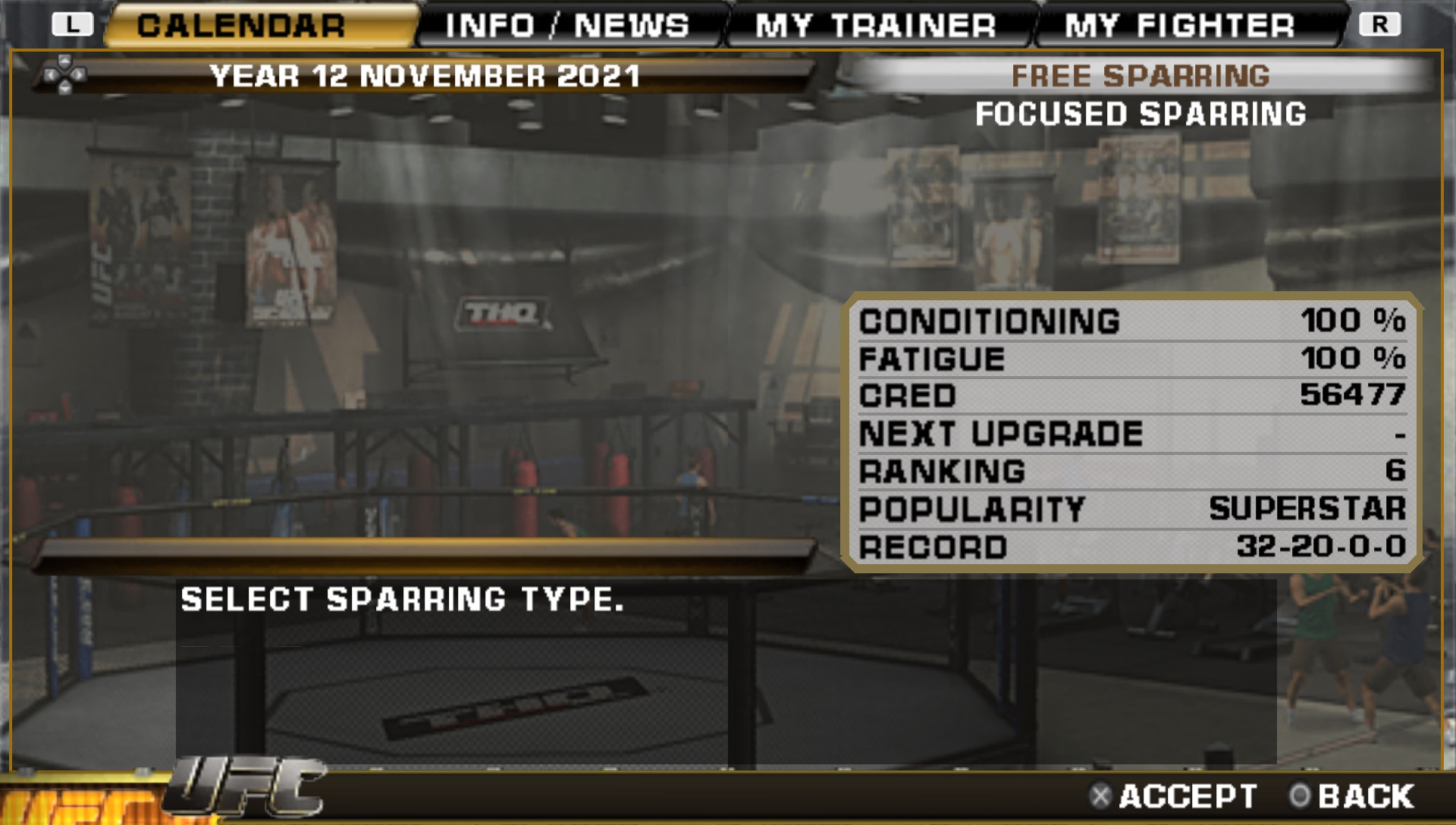 User screenshot of game