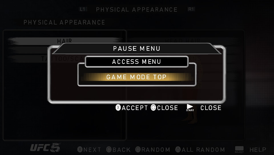 User screenshot of game