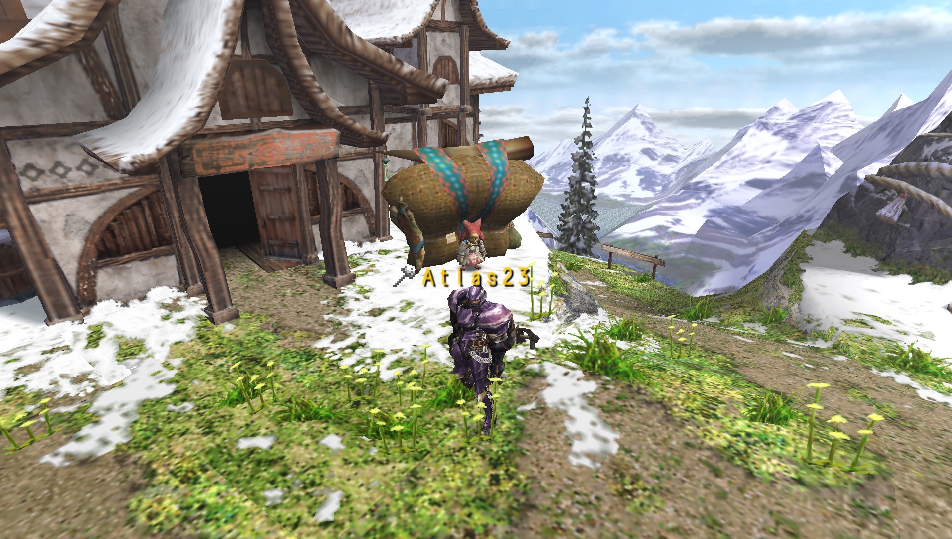 User screenshot of game
