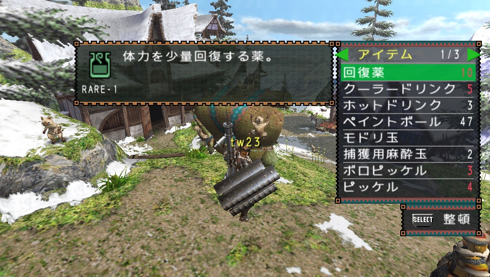 User screenshot of game