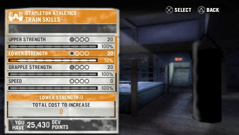 User screenshot of game
