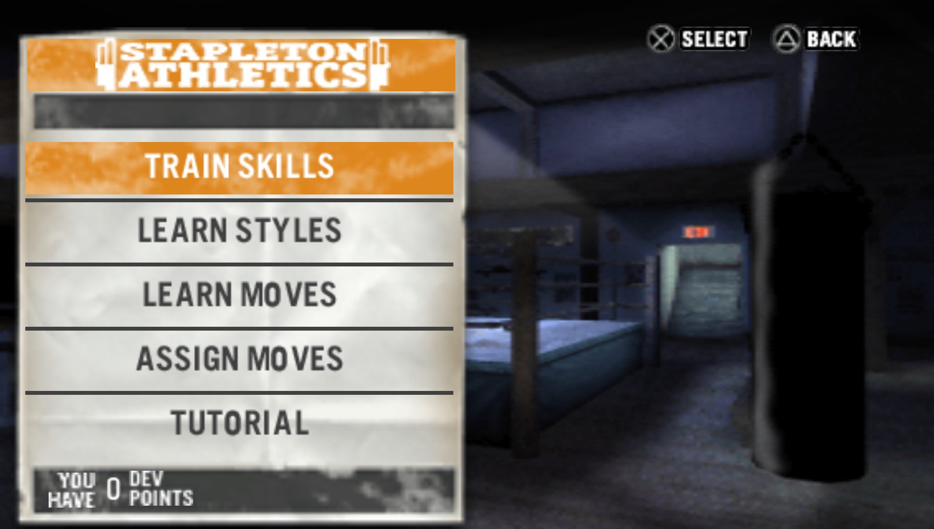 User screenshot of game