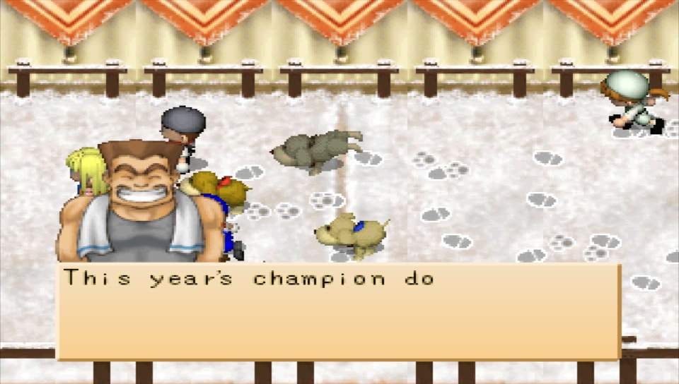 User screenshot of game