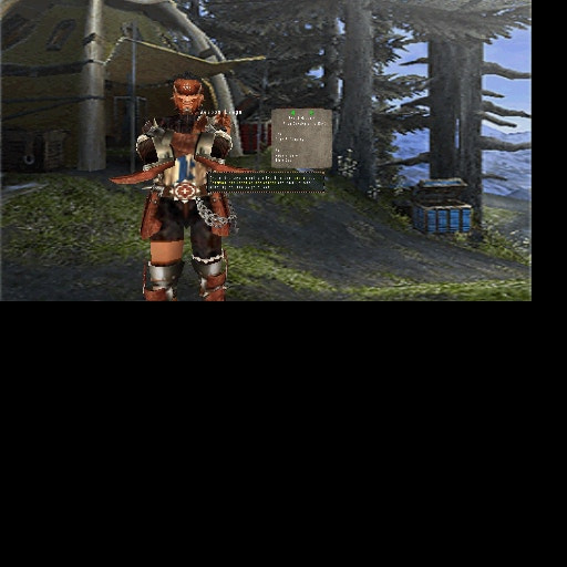 User screenshot of game