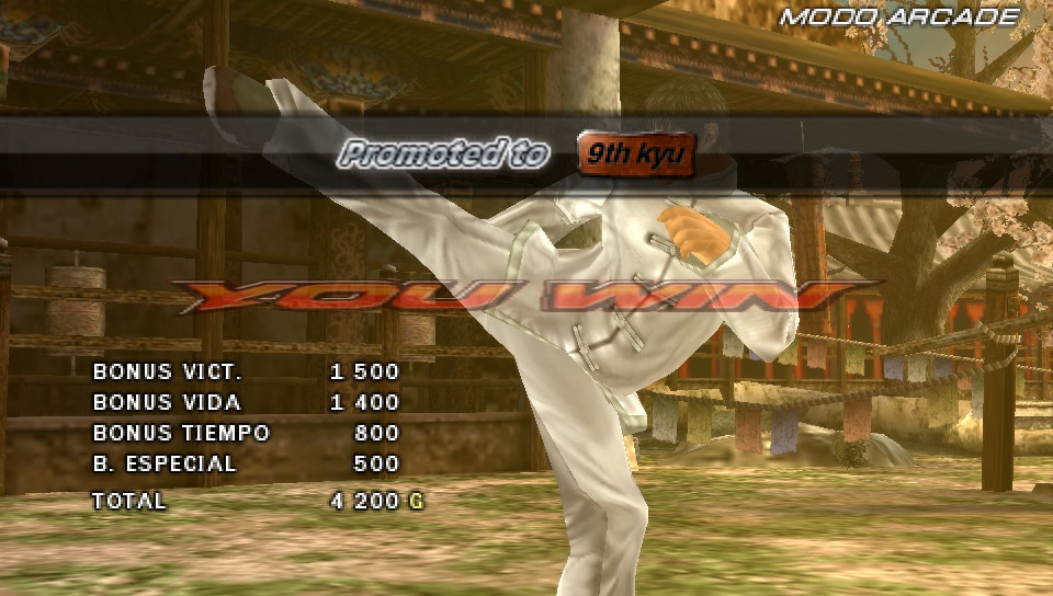 User screenshot of game
