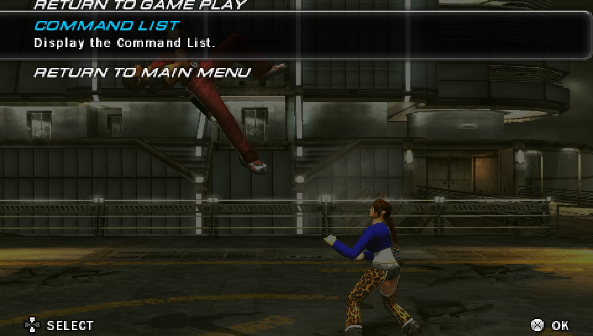 User screenshot of game