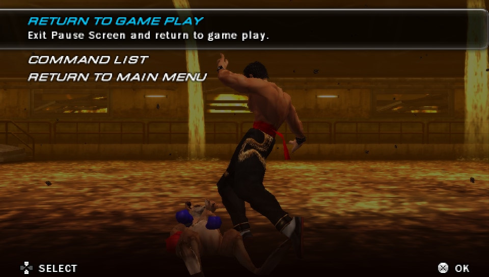 User screenshot of game