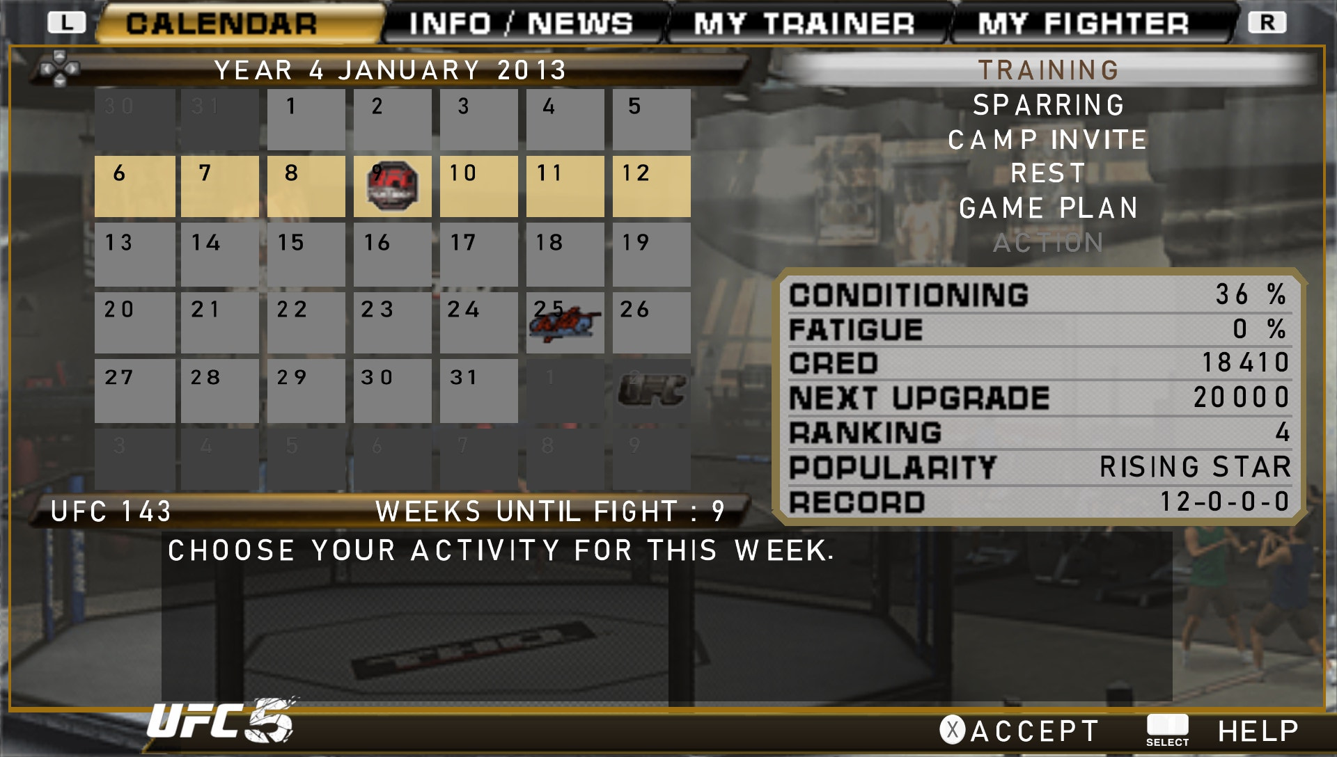 User screenshot of game
